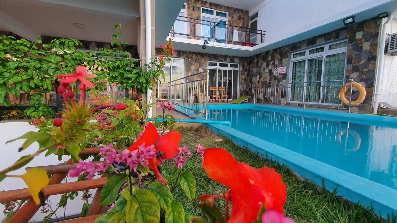 Paradise Rodrigues * Bambou