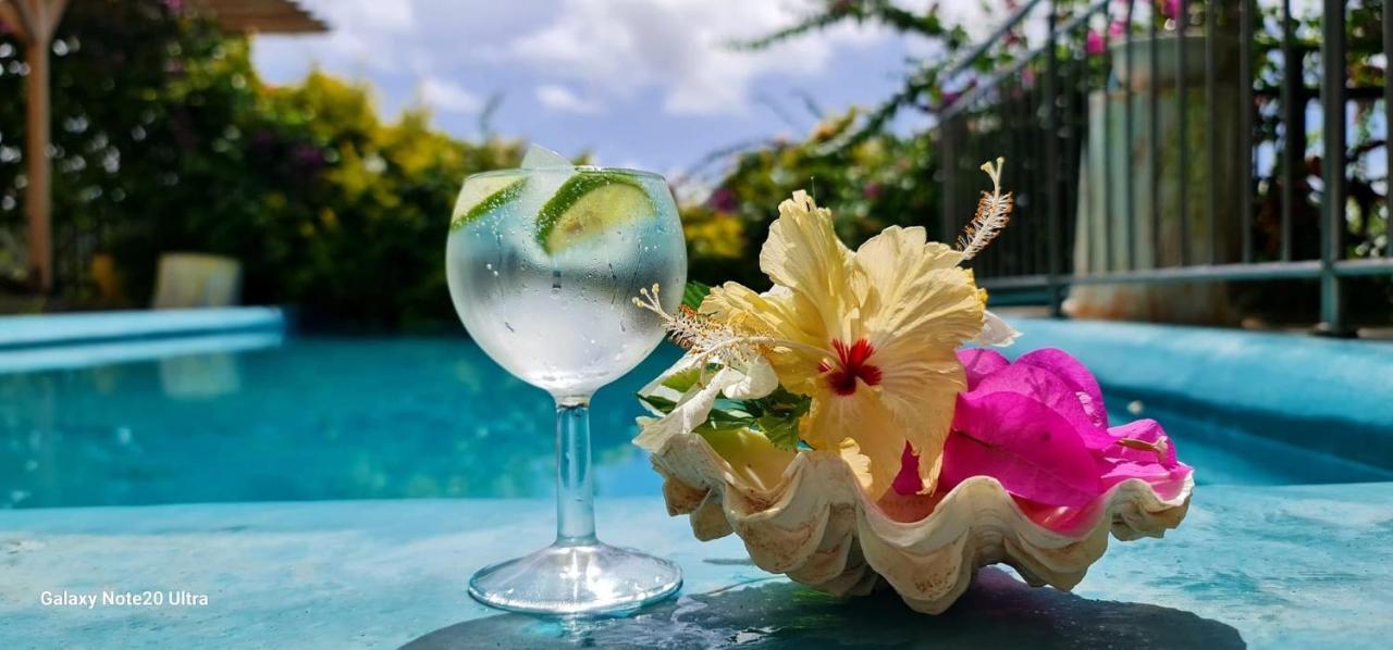 Inn Paradise Rodrigues *