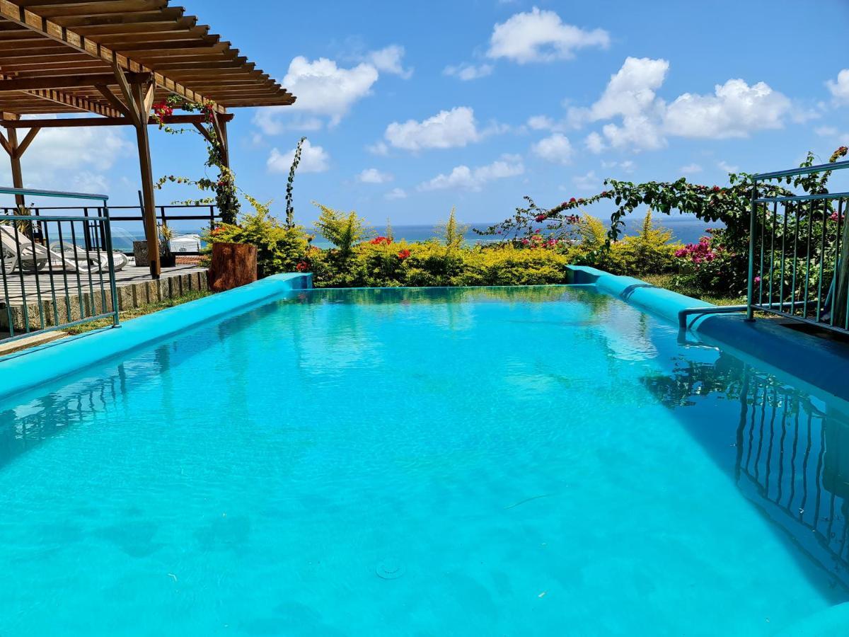 Paradise Rodrigues *